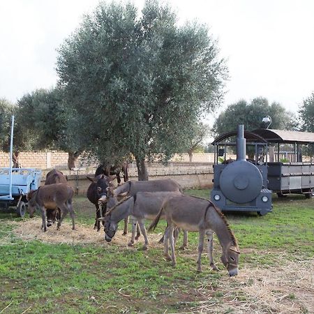 Taurisano Masseria Grande المظهر الخارجي الصورة